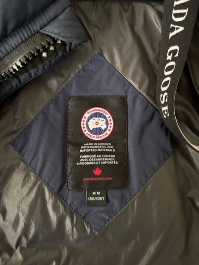 canada goose