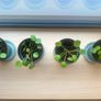 Plant & Pots - Pilea Image 2