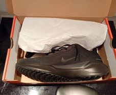 Nike Pegasus 41