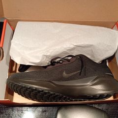 Nike Pegasus 41