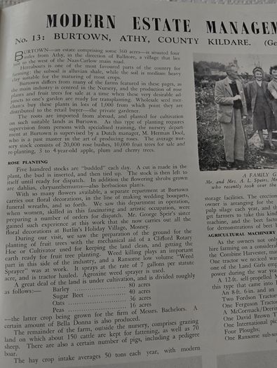 Social & Personal magazine November 1950