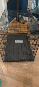 Dog crate