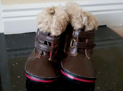 New with Tags Gap Boys Brown Snow Booties 12-18