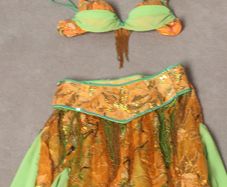 Bellydance Costume