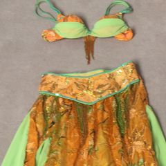 Bellydance Costume