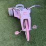 Kids Trike Image 2
