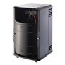 Manhattan Portable Gas Heater Image 3