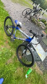 bike 24"