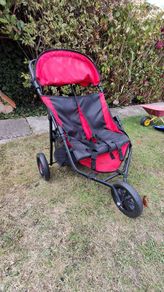 Buggy