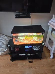 Beautiful  tropical Tank with fish and accessories
