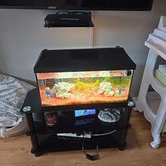 Beautiful  tropical Tank with fish and accessories