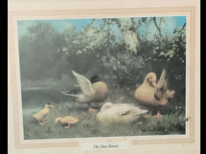 vintage pictures