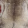 Genuine Reindeer Hide rug Image 6