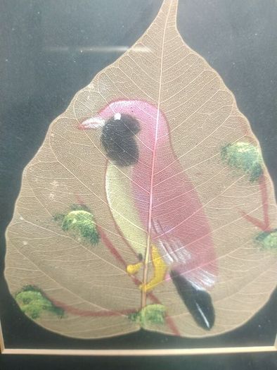 3x Peepal leaf pictures