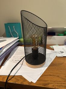 Dimmable Industrial Metal Mesh Lamp