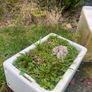 Used Belfast Sink Image 3