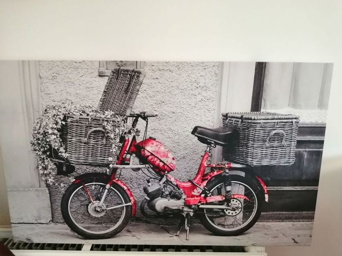 canvas picture