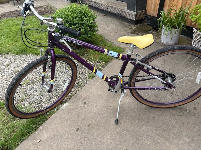 Raleigh Pop 26inch girls bike