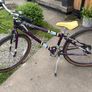 Raleigh Pop 26inch girls bike Image 2