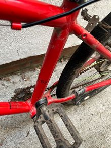 Frog Bike
