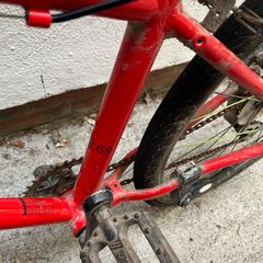 Frog Bike