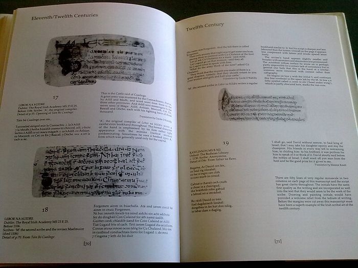 The Irish Hand Scribes and manuscripts with exemplar of scripts Ireland Dolmen