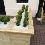 Box Hedging Image 9