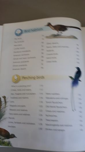birds book