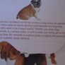 Pedigree Points D ogs, Hardback book,Non fiction Image 7