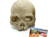 Reptile Nova Terrarium Ornament RN0557A-H