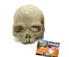 Reptile Nova Terrarium Ornament RN0557A-H