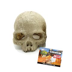Reptile Nova Terrarium Ornament RN0557A-H