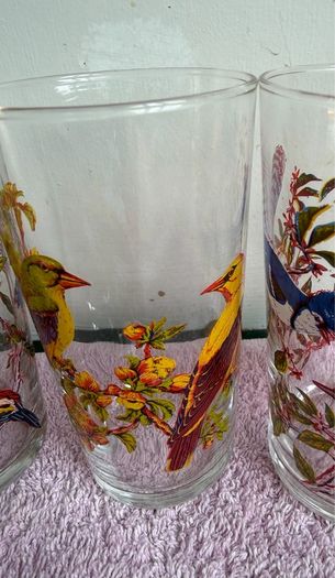Vintage Set of 1960's Arcoroc Luminarc Exotic Bird Tumblers