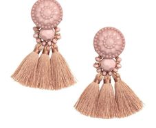H&M Powder Tassel Earrings!