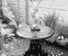 water feature