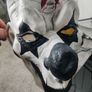 Halloween Scary Clown Mask Image 3
