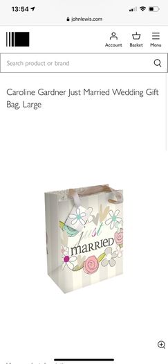 'Just Married' Gift Bags Set of 2, Large and Medium