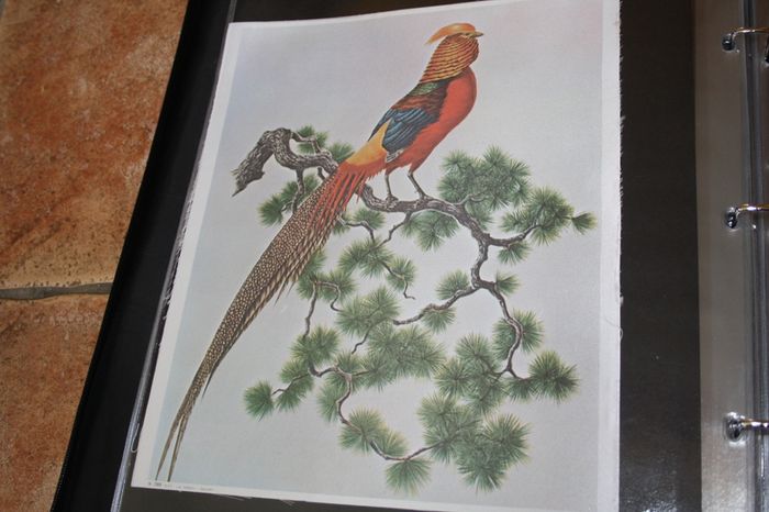 unframed silk picture