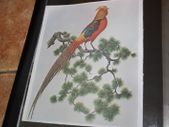 unframed silk picture