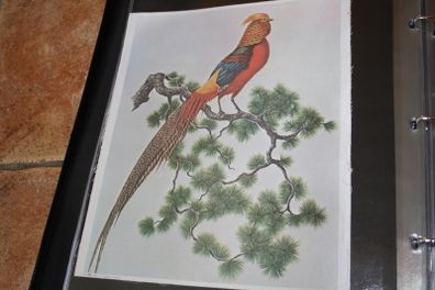 unframed silk picture
