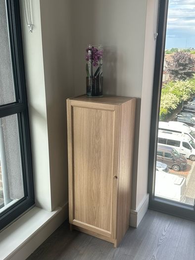 Ikea Billy Bookcase