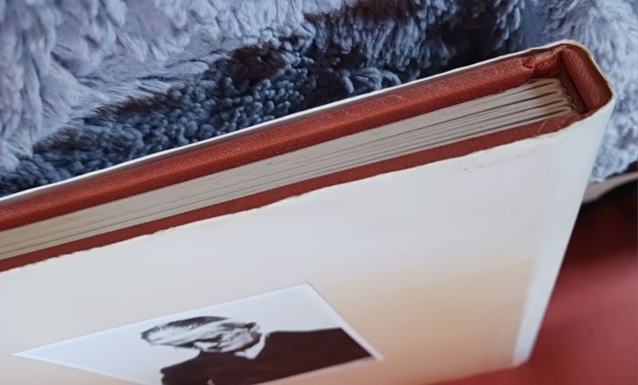 James Joyce / A Passionate Exile/ John McCourt/ 2000