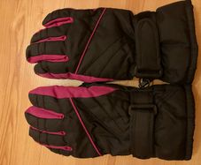 Ski gloves