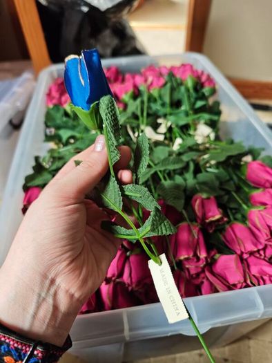 individual roses gold tipped red and blue