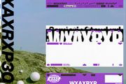 Various - WXAXRXP30 (10x12" + Box, Comp, Ltd)