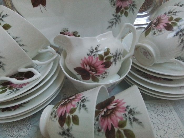 Royal Stuart 21 Piece China Teaset