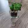 Artificial plants x 3 Image 4