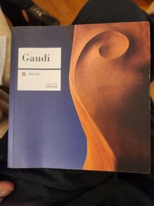 Gaudi Book By Enric Balasch. Beautiful Illustrated Paperback In Good Condition.