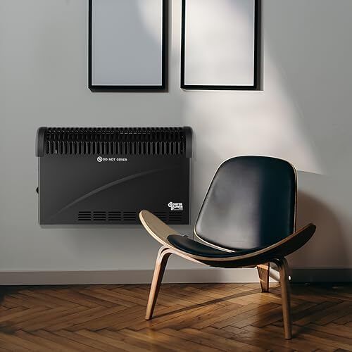 Radiator Heater