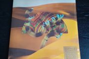 Django Django (new)